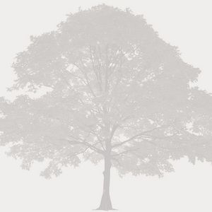 Meet your Posher, Mariah